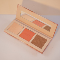 Palette de maquillage professionnelle, blush, bronzant, produit de beauté, poudre de contouring, 10 unités