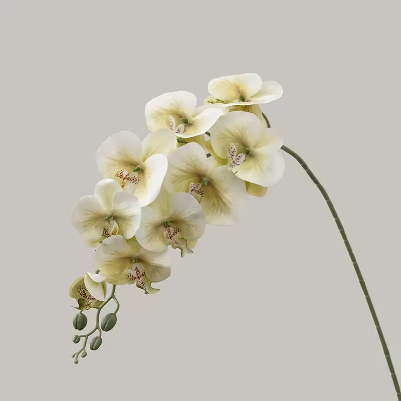 กองทัพสีเขียว