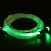 Kit de 500 Luces LED de Fibra Óptica para Techo de Auto, Efecto Cielo Estrellado, Decoración para Auto y Hogar