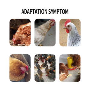 Verhoging Van De Eetlust En Verbetering Van De Immuniteit Toevoegingsmiddelen Bevorderen De Spijsvertering Darmproblemen Op Te Lossen - Product Image 5