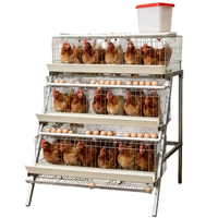 Cage à poules pondeuses galvanisée de type D à 48 cellules, équipement avicole peu encombrant, cages à œufs durables pour usage agricole