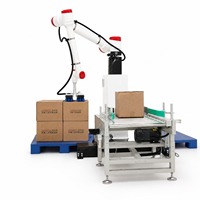 Robot palettiseur industriel de 30 kg avec ventouse pour la logistique et l'expédition de cartons