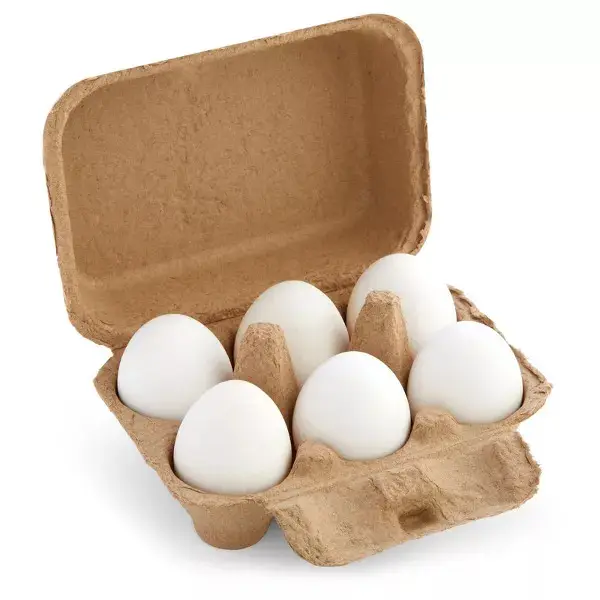 Phân Hủy Sinh Học Trứng Thùng Carton 6 Gói Tùy Chỉnh Trứng Lưu Trữ Bao Bì Khay Giấy Bột Giấy Khay Trứng