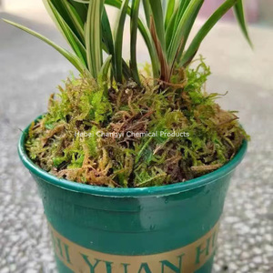 長い繊維ミズゴケモスベールテラリウム基板 - Product Image 1