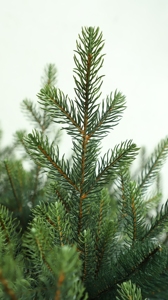 Arbre de Noël artificiel de luxe de 7 pieds, pré-éclairé, en PE et PVC mélangés, avec lumières LED, idéal pour les fêtes, vente directe d'usine - Product Image 5