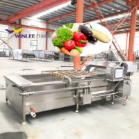 Roestvrijstalen kleine commerciële bubbelwasmachine Appel Aardappel Broccoli Fruit Groente Reinigingsapparatuur
