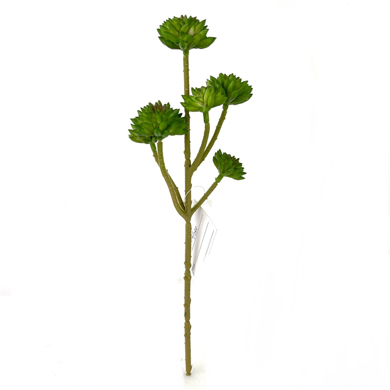 สีเขียว