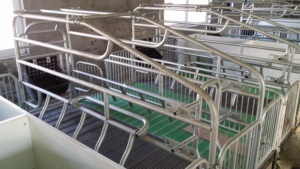 Gabbie per allevamento da allevamento personalizzate per casse di gestazione di suini gabbie per allevamento di suini - Product Image 5