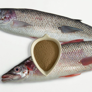 Vi sinh Bacillus Subtilis cấp thức ăn chăn nuôi 1kg, phụ gia thức ăn nuôi trồng thủy sản, lợi khuẩn cho cá/tôm, có sẵn OEM/ODM - Product Image 4