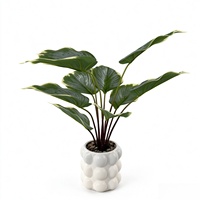 Décoration d'intérieur, feuillage artificiel réaliste, Homalomena à bord blanc, pot à bulles, plante verte de Noël pour bureau