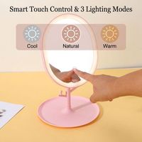 Miroir de Maquillage LED Ovale Lumineux, Matériau du Cadre Autre, Populaire sur les Réseaux Sociaux, Coiffeuse de Beauté, Rechargeable par USB, Éclairé, Intelligent pour Bureau