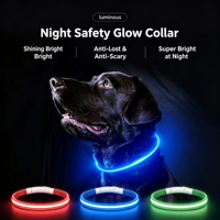 Collar de Perro LED Recargable por USB, con Luz para Caminar de Noche, Etiqueta de Identificación Reflectante, PVC Ecológico, Estilo Japonés y Coreano