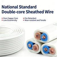 Fabrik-Großhandel Bau-RVVB Mehradriges Parallel-Flachkabel 16 AWG PVC-Isoliert und -Ummantelt Flammhemmend Rein