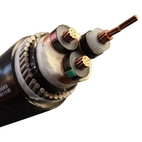 Câble haute tension isolé XLPE de fournisseur chinois pour l'alimentation électrique