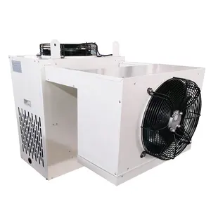 Monoblock unit pendingin freezer, unit kompresor pendinginan monoblock 2024 ruang penyimpanan dingin