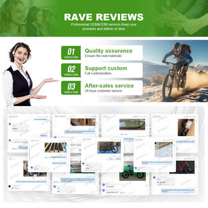 Motocicleta Eléctrica para Entrega de Comida, Bicicleta Eléctrica de Carga, Bicicleta Eléctrica para Entrega de Periódicos - Product Image 6