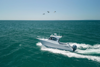 Bateau de pêche familial SeaKing High Speed Profisher 7,5 m (25 pieds) en aluminium avec cabine