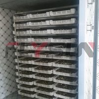 Volledig automatische industriële drooglijn voor vers fruit, bamboescheuten, gedroogd voedsel en courgette