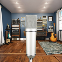   Microphone à condensateur métallique fait main, directivité cardioïde, avec communication filaire pour projets de studio et DIY