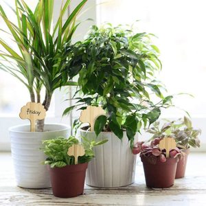 Touchfive — marqueurs de plantes écologiques à types d'arbre, pour graines, herbes en pot, fleurs et légumes, étiquettes de plantes en bambou - Product Image 3