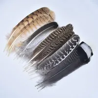 Lot de 10 Plumes d'Aigle Naturelles Véritables, Plumes Brutes pour Décoration, Artisanat de Faon, Accessoires de Carnaval, Plumes pour Broderie et Décoration