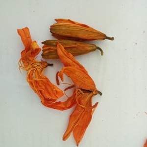 Vente en gros de fleurs de lys pures séchées brutes en vrac, fleurs de lys brunies naturelles pour le thé - Product Image 4