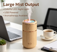 Humidificateur portable mini à brume froide avec éclairage LED rotatif, ultra silencieux, arrêt automatique et ions négatifs – Vente en gros