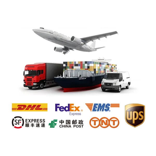 Freight Forwarder dari Cina Ke Amerika Serikat, Waktu Transit Belgia, Jenis Asal Logistik Yang Luar Biasa, Amazon FBA, DHL, UPS, FEDEX, TNT, ARAMEX