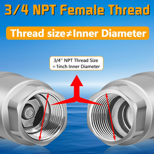 <span class=keywords><strong>Clapet</strong></span> <span class=keywords><strong>anti</strong></span>-<span class=keywords><strong>retour</strong></span> compact 1/2" NPT en acier inoxydable avec joint EPDM pour équipements OEM et systèmes sanitaires - Product Image 1