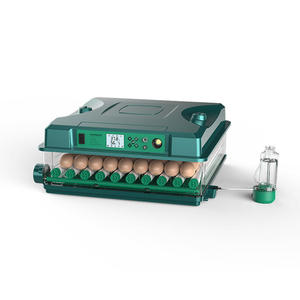 Incubadora Automática <span class=keywords><strong>de</strong></span> <span class=keywords><strong>Huevos</strong></span> a <span class=keywords><strong>Precio</strong></span> Mayorista, Máquina Incubadora <span class=keywords><strong>de</strong></span> <span class=keywords><strong>Huevos</strong></span> <span class=keywords><strong>de</strong></span> Gallina para 64 <span class=keywords><strong>Huevos</strong></span> <span class=keywords><strong>de</strong></span> Gallina y Pavo - Product Image 1