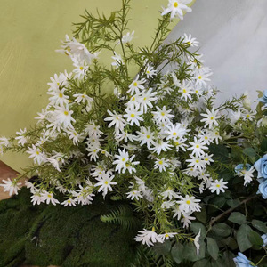 Usine <span class=keywords><strong>pas</strong></span> <span class=keywords><strong>cher</strong></span> prix longue branche <span class=keywords><strong>montagne</strong></span> encens sauvage unique fleur artificielle décoration - Product Image 2