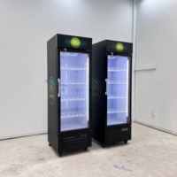 Congélateur vertical de 300L avec porte vitrée pour boissons, réfrigérateur à bière, vitrine réfrigérée pour hôtel, maison, magasin