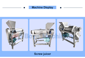 Công nghiệp Báo Chí lạnh máy ép trái cây vắt chanh cà rốt Aloe Vera gừng hạt điều Táo Trái Cây Rau quá trình nước trái cây làm cho máy - Product Image 3