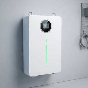 Batería de Litio LiFePO4 de 51.2V 200Ah 10.24kWh para Montaje en Pared, Energía de Respaldo para el Hogar, para Sistemas de Energía Solar con Pantalla LCD Opcional, CAN RS485 - Product Image 1