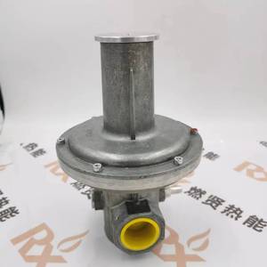 Régulateur de gaz avec électrovanne VSBV25R40-4Z pour KromSchroder Stock 20 - Product Image 4
