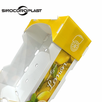 Emballage en plastique PP Corflute Boîte d'emballage de stockage en polypropylène ondulé en plastique citron fruits et légumes