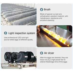 ORME endüstriyel yumurta fırça temizleyici otomatik yumurta yıkayıcı makine ördek yumurta yıkama makinesi - Product Image 6