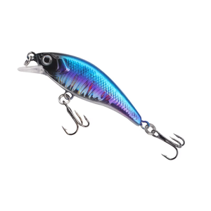 Leurre de pêche artificiel en plastique ABS de 10 cm et 10 g, type Minnow, avec yeux 3D, pour la pêche au bar, au brochet, en eau douce et en eau salée - Product Image 2