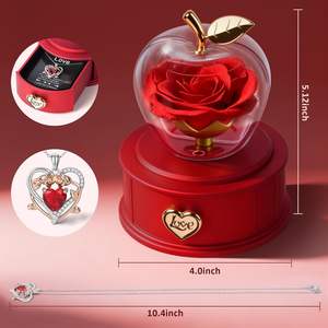 กล่องแอปเปิ้ลกุหลาบอมตะ Iceevery พร้อมสร้อยคอจี้รูปหัวใจประดับคริสตัลและเพชรเทียม ของขวัญสำหรับผู้หญิง แทนความรักนิรันดร์ - Product Image 5