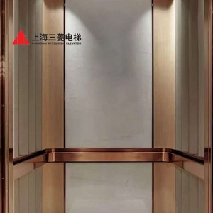 Ascensor Residencial Pequeño Mitsubishi para 2 a 5 Pisos, Elevador Simple para Viviendas Unifamiliares y Dúplex, Ascensor Interior y Exterior para Casas Privadas - Product Image 2