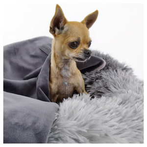 <span class=keywords><strong>2026</strong></span> Luxuriöses Rundes Donut-Hundebett Weiches Plüsch-Design für Kleine und Große Hunde Perfektes Warmes Bett für Katzen Niedlicher Stil - Product Image 6