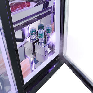 Nuovo Frigorifero Commerciale per la Stagionatura della Carne, per Steakhouse di Alta Gamma, a Risparmio Energetico, in Acciaio Inossidabile - Product Image 5