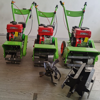 Machine à désherber mécanique Mini tondeuse à gazon agricole à essence
