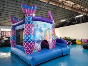 Combo gonflable princesse de qualité supérieure pour la <span class=keywords><strong>location</strong></span> de fêtes d'anniversaire, château gonflable extérieur pour filles - Product Image 6