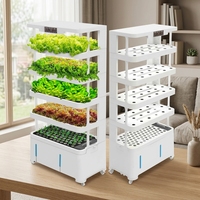 Système de culture hydroponique verticale intelligent pour légumes, sans sol, à usage domestique, multi-niveaux, pour la culture de semis avec arrosage intégré