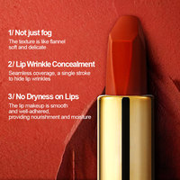 Rouge à lèvres stick mat imperméable de couleur vive, populaire, de notre propre marque