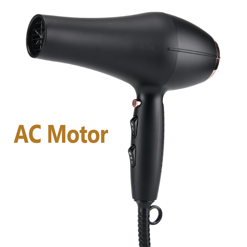 MOTOR AC