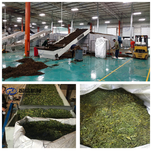 Secadora Industrial Continua de Alfalfa con Certificación CE, Secadora de Cintas de Malla para Pastos, Equipo de Secado de Hierba, Precio - Product Image 3