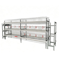 Cage à poulets en batterie de type H pour 1200 oiseaux, ensemble complet pour débutants, petite ferme, montage facile avec guide vidéo
