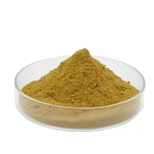 High Quality Red Ginseng Extract 80% Ginsenoside Red Ginseng Root Extract